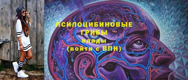 шишки Бронницы